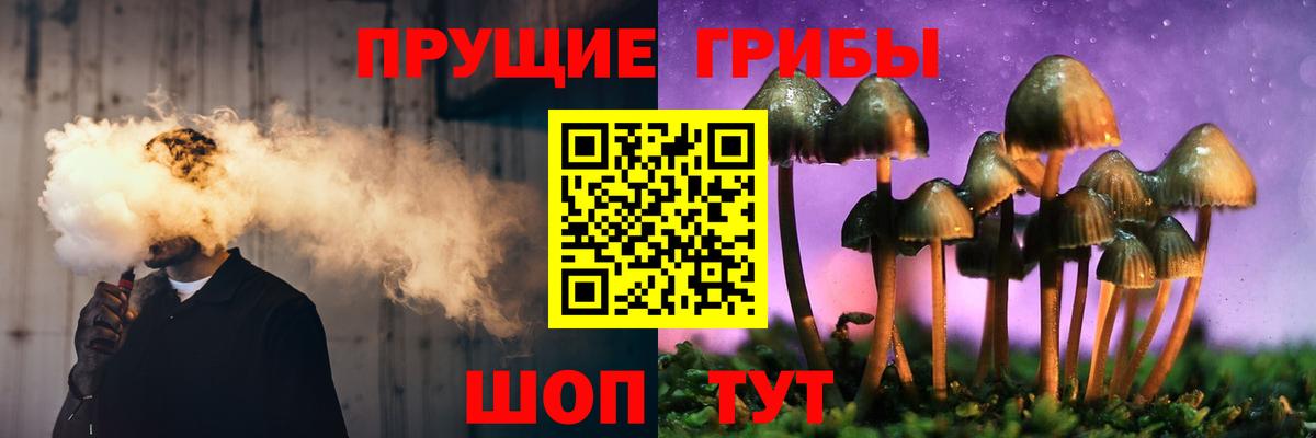 Галлюциногенные грибы прущие грибы  Вход с VPN  Набережные Челны 